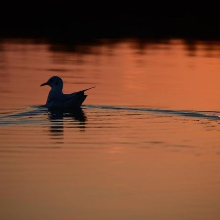 Agriturismo Venice Photobirding تيسّيرا المظهر الخارجي الصورة