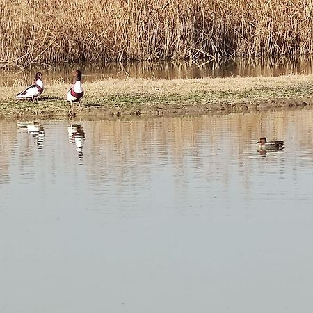 Agriturismo Venice Photobirding تيسّيرا المظهر الخارجي الصورة