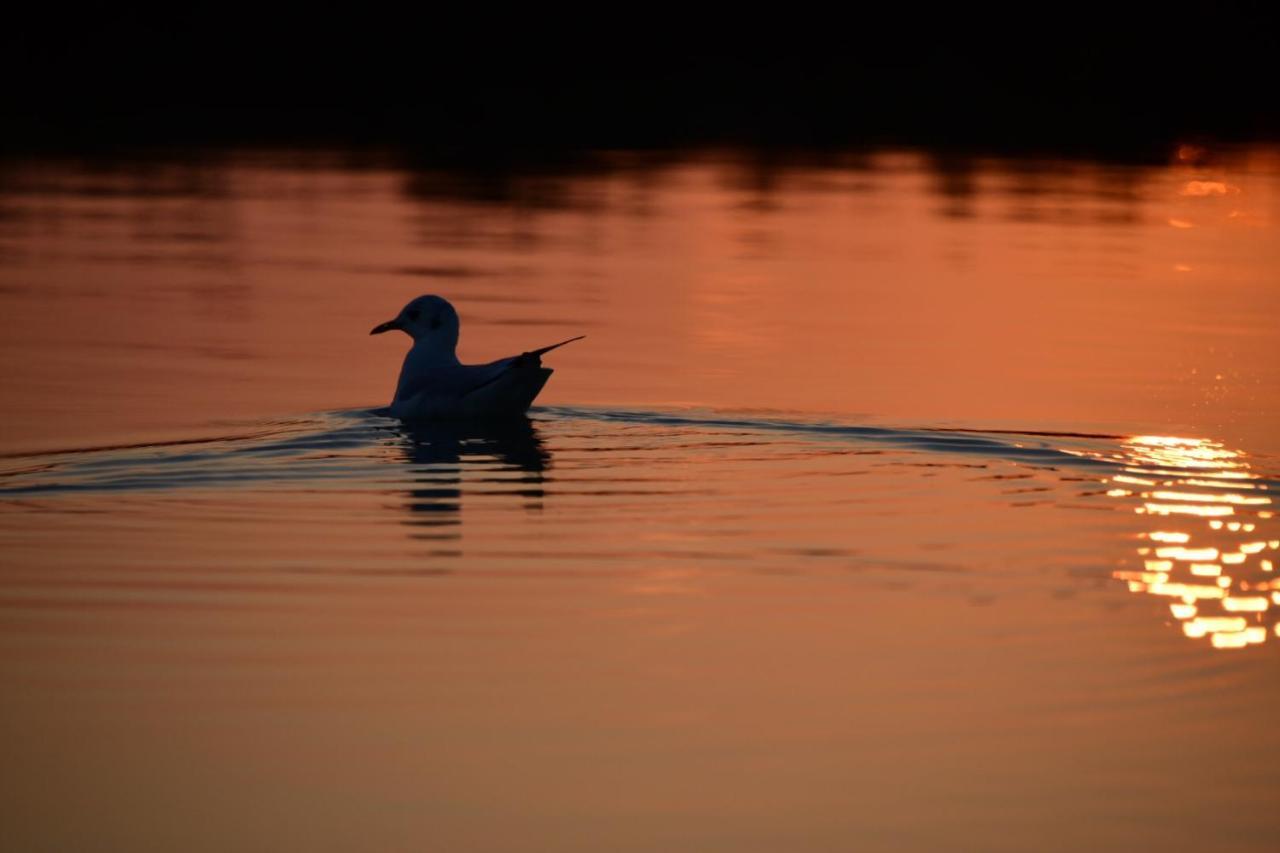Agriturismo Venice Photobirding تيسّيرا المظهر الخارجي الصورة