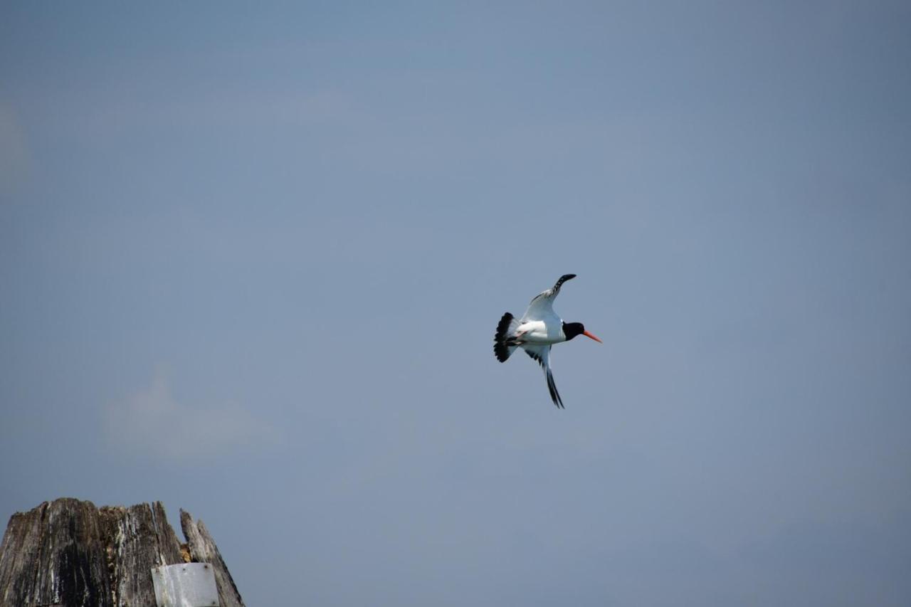 Agriturismo Venice Photobirding تيسّيرا المظهر الخارجي الصورة