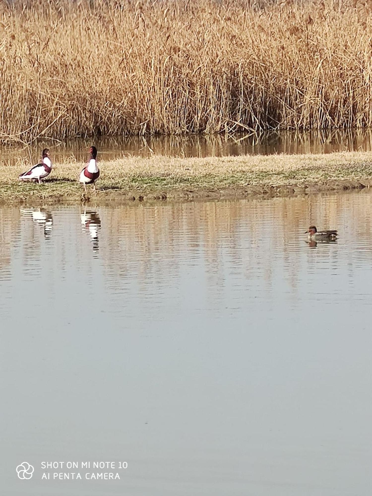 Agriturismo Venice Photobirding تيسّيرا المظهر الخارجي الصورة